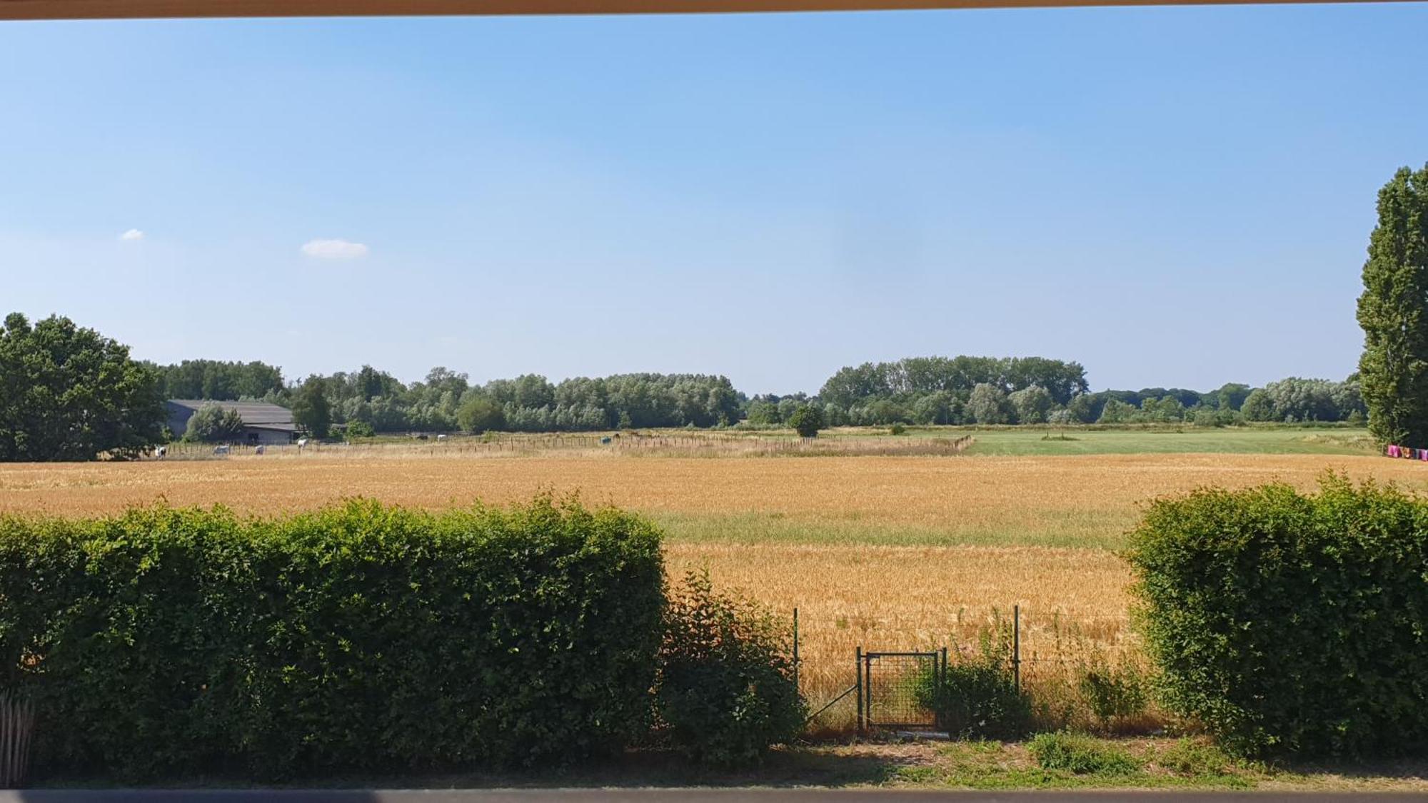 Villazzo Ghent Luaran gambar