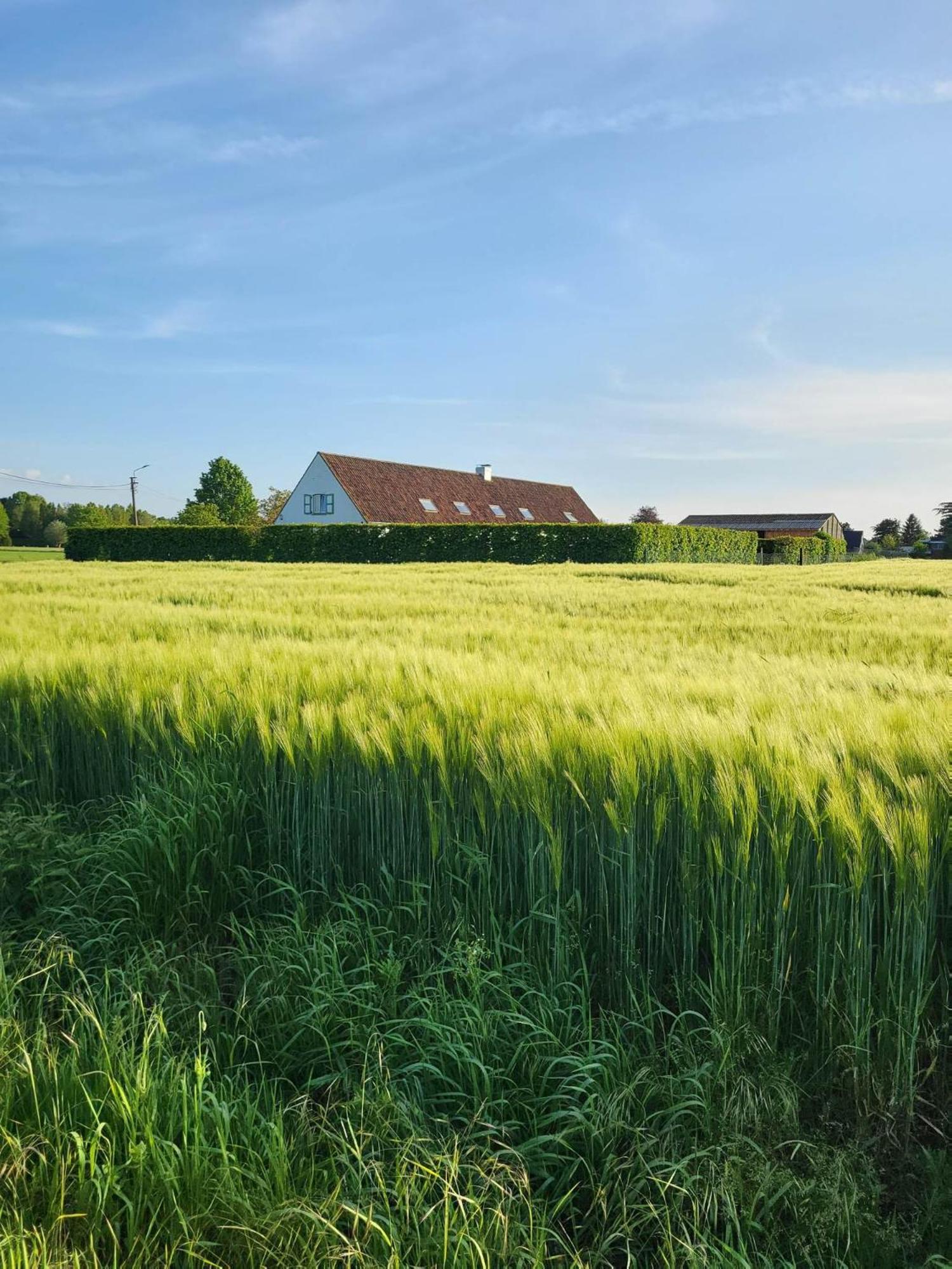 Villazzo Ghent Luaran gambar